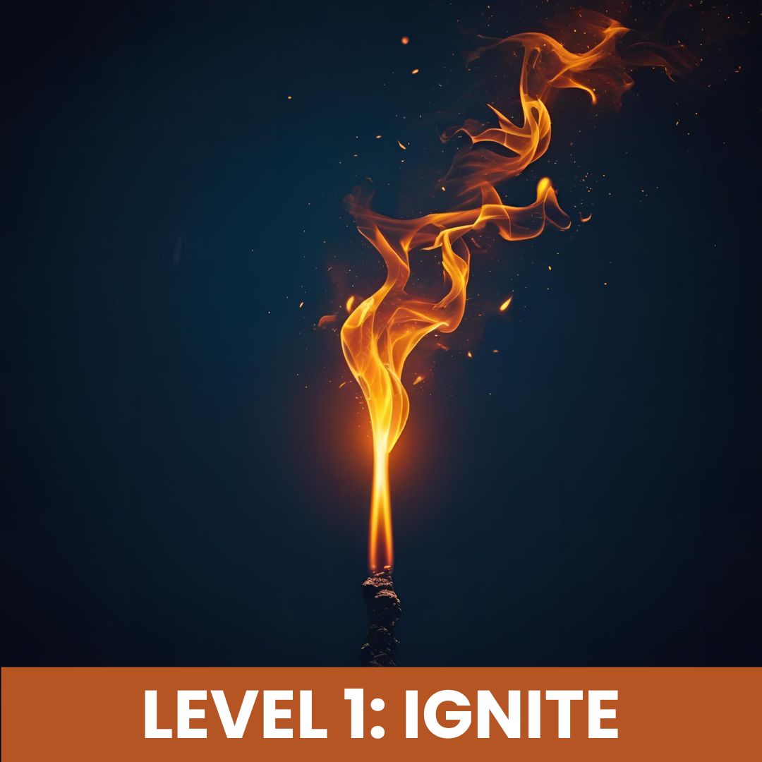 Ai In Teaching Certification Level 1 Ignite Navigate Ai
